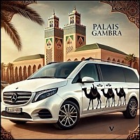 Accueil personalis&eacute; a&eacute;roport / Palais Gambra (sur demande en sus)