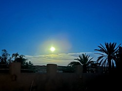 Coucher de soleil sur la Palmeraie