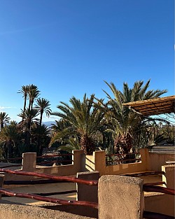 Vue sur la Palmeraie