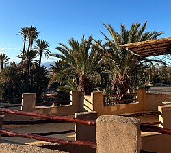 Vue sur la Palmeraie