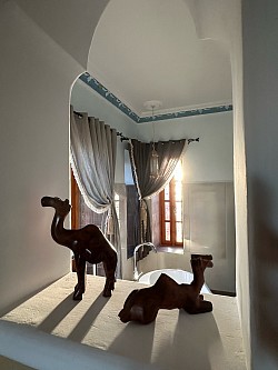 Decor