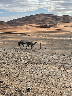 Desert