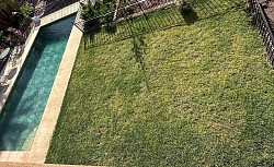 Piscine et gazon