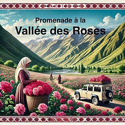 Vallee des Roses