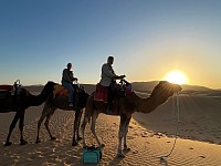 Excursions bivoic desert