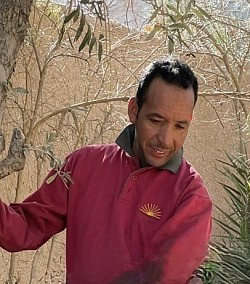 Nordin, le soudeur à qui l’on doit les moucharabieh du rez-de-chaussée et les imposantes portes en fer forgé de la villa