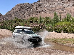 Oasis de Fint