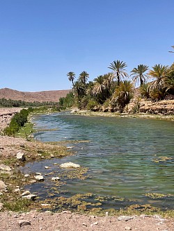 Oasis de Fint