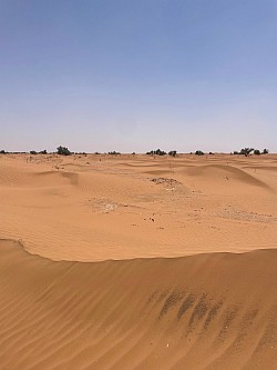 Sahara
