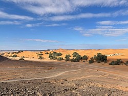 Paysage