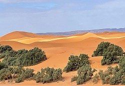 Dunes