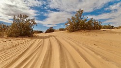 Dune