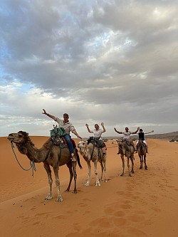 Virée privée en dromadaire au couché de soleil : Dès CHF 65.- par pers.