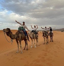 Balade privée en dromadaire – Coucher de soleil  Expérience exclusive dans les dunes, idéale pour photos et détente.