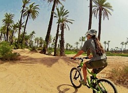 Visite de la palmeraie en VTT