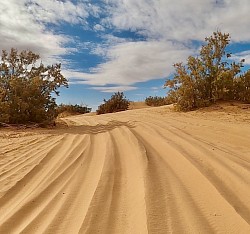 Piste du Paris-Dakar M’hamid à Foum z’guid