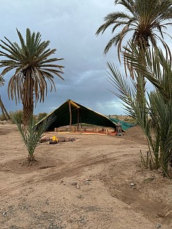 Bivouac a la palmeraie