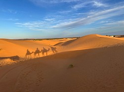 Desert