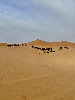 Virée dans le desert