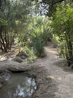 Promenade dans la Palmeraie
