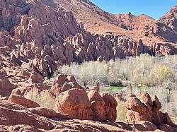 Les doigts de singes