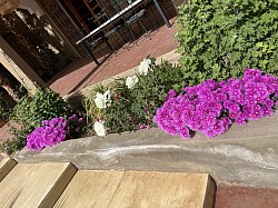 Jardin