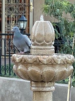 fontaine