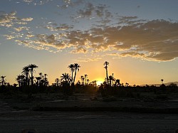 Sahara café